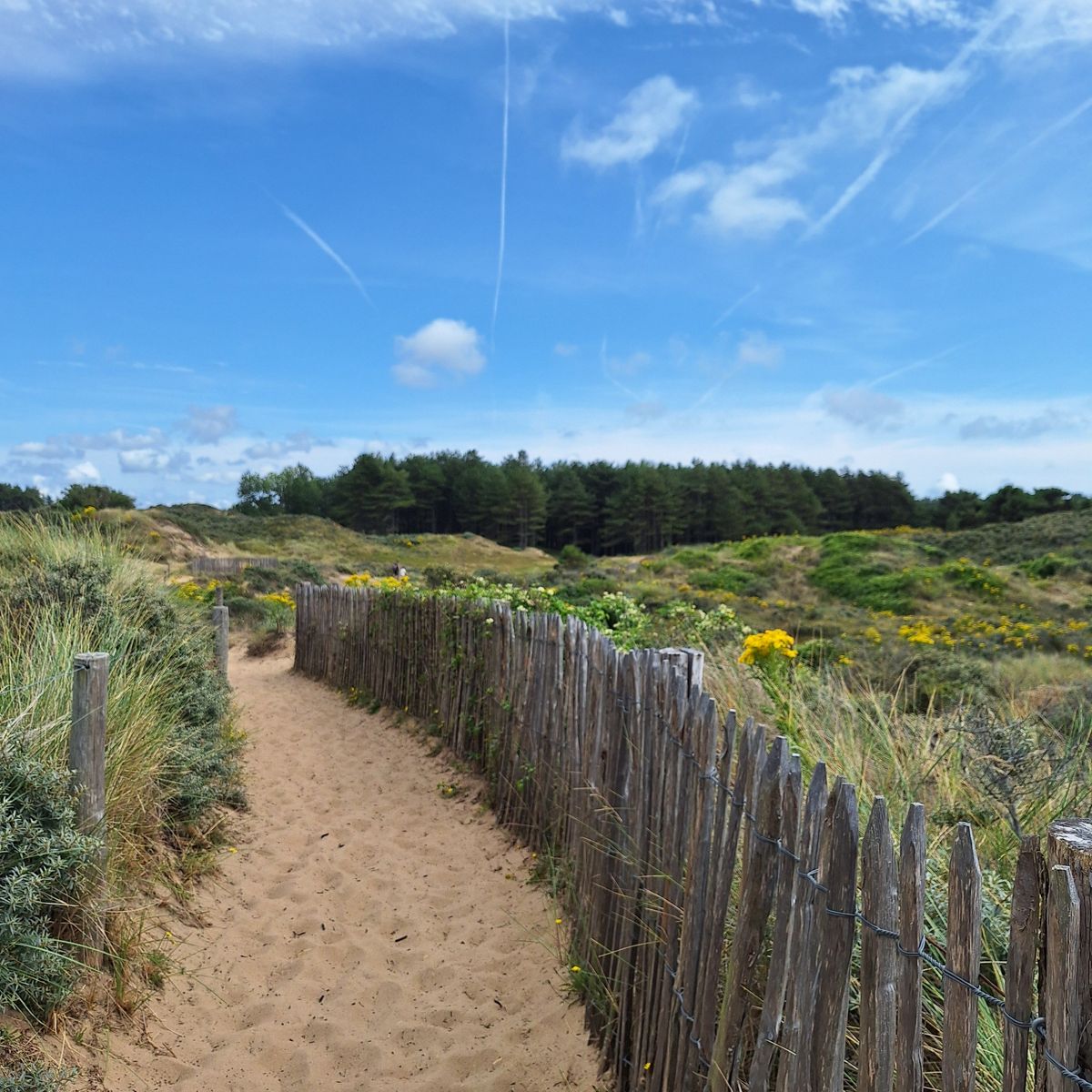Pointe aux Oies Wimereux dunes nature Côte d'Opale