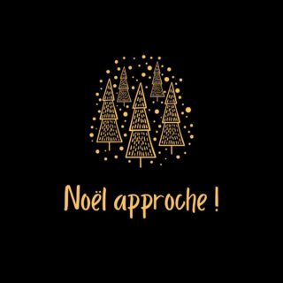 L’ambiance chaleureuse de Noël a pris place au Flobart !🎄✨

Bon dimanche à tous 😉

—

—
#leportel #restaurant #cotedopale #hotel #leflobart #boulognesurmer #pasdecalais #pasdecalais #cotedopale #noel #christmas #decoration